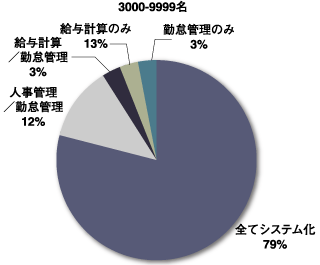 3,000名〜10,000名の企業のシステム化の状況