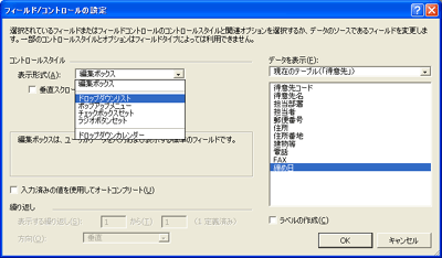 フィールド／コントロールの設定画面