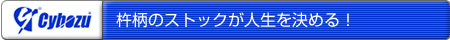杵柄のストックが人生を決める！