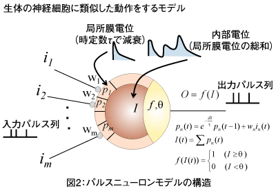 図2：パルスニューロンモデルの構造