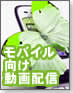 【現場に学ぶWeb動画配信】モバイル動画の最新活用術