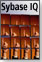 Sybase IQ