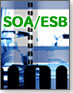 SOA/ESB