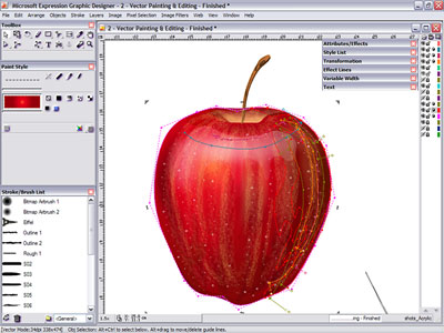 Expression Graphic Designer