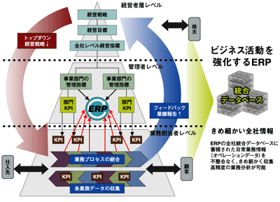 ビジネス基盤としてのERPの役割