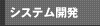 システム開発