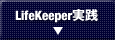 LifeKeeper実践