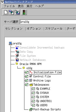 データベース(Oracle Database 10g)のバックアップ例