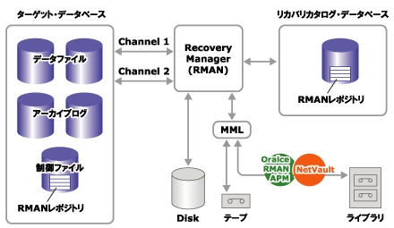 RMANを使ったバックアップの概要