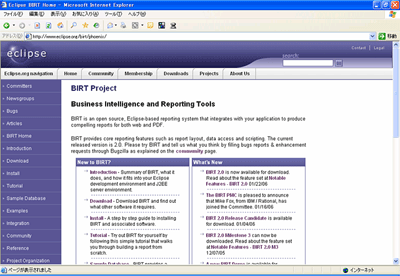 BIRT Project