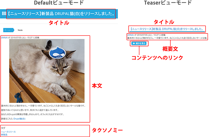 image alt text