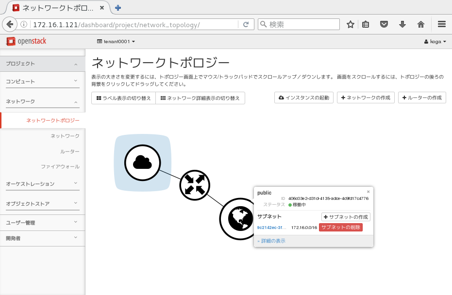 publicネットワークが稼働中であり、サブネット172.16.0.0(ネットマスクは16ビット)が付与されていることを確認